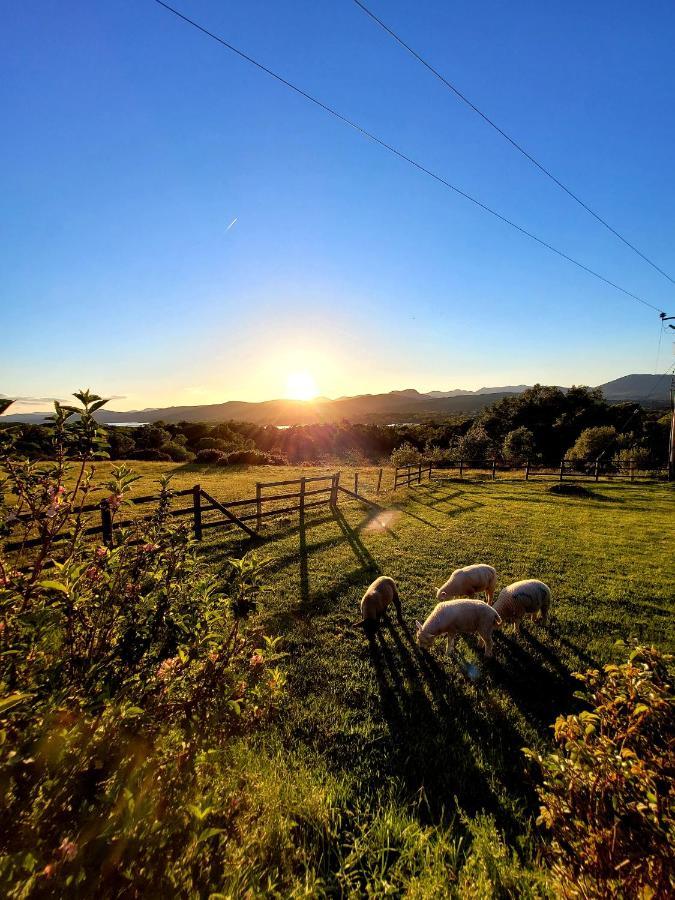 Oaklane Glamping Cabins Kenmare Ngoại thất bức ảnh