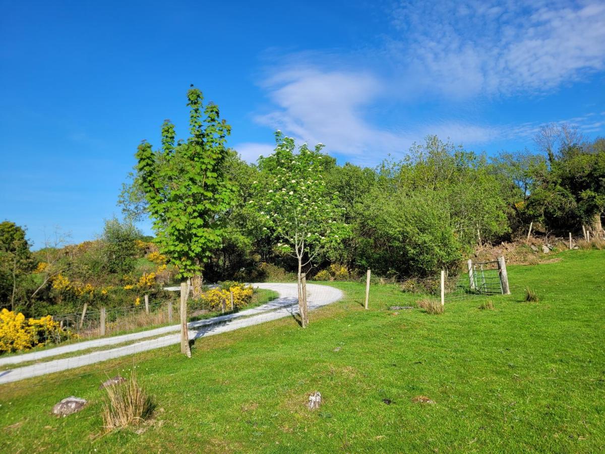 Oaklane Glamping Cabins Kenmare Ngoại thất bức ảnh