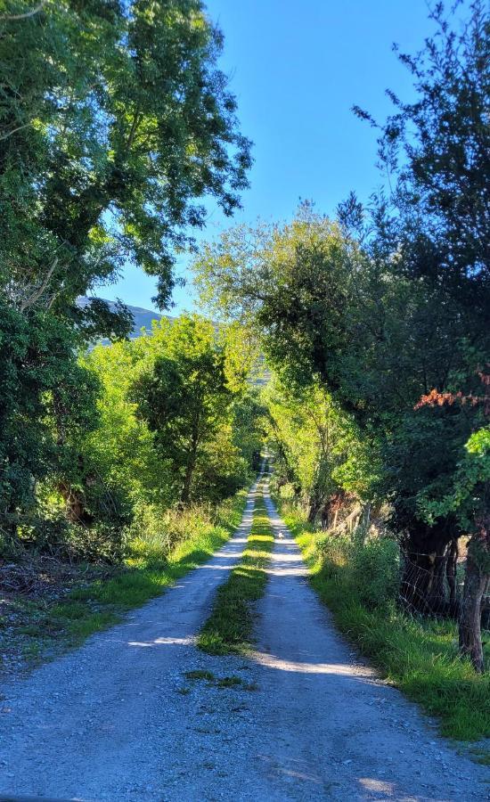 Oaklane Glamping Cabins Kenmare Ngoại thất bức ảnh
