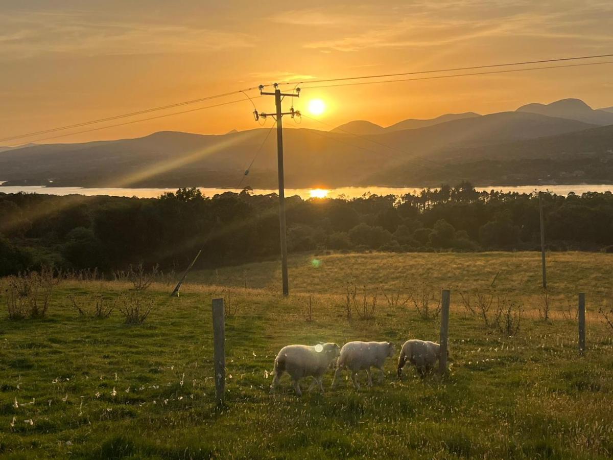 Oaklane Glamping Cabins Kenmare Ngoại thất bức ảnh